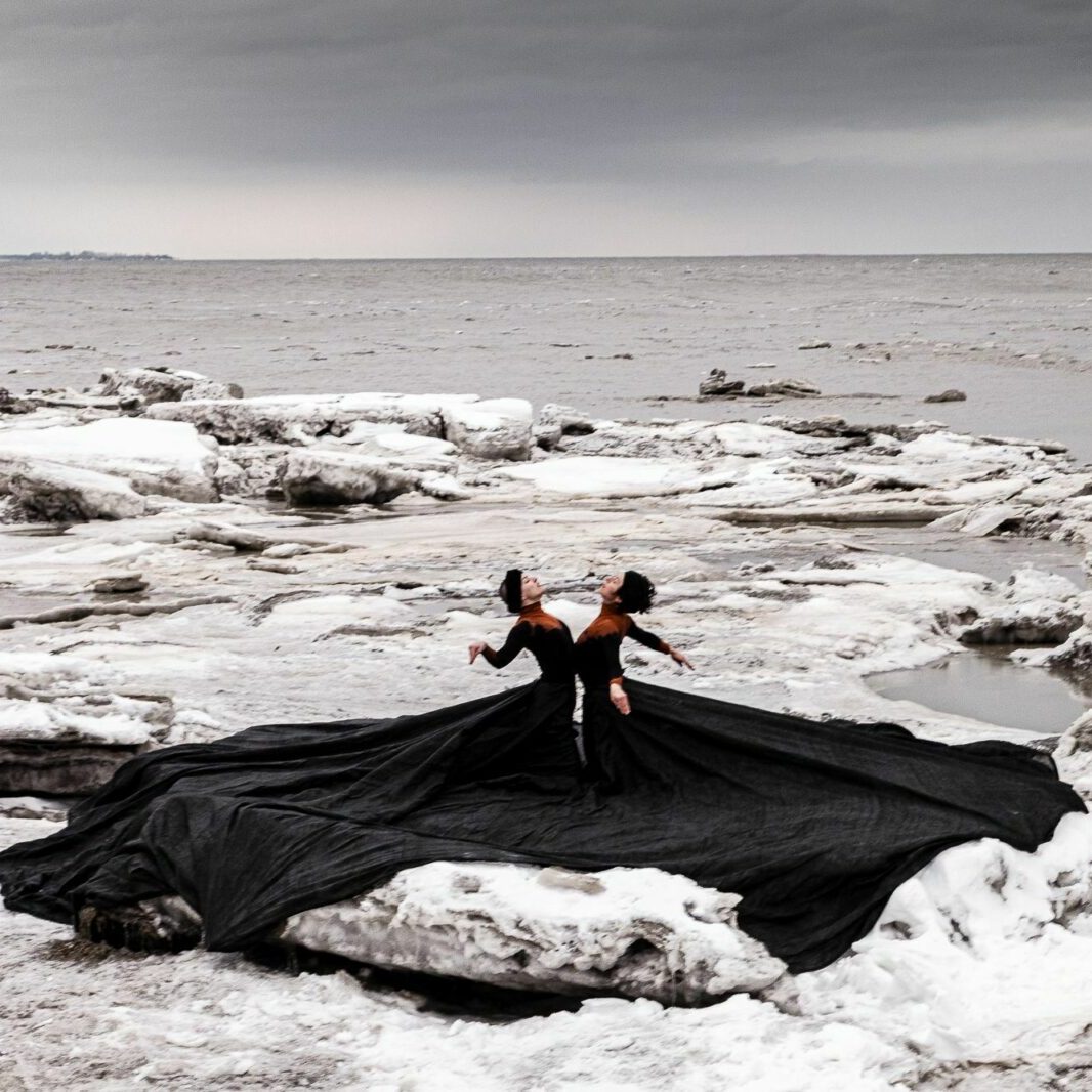 Mare_e_noire_SBV CHSLD - François Delisle