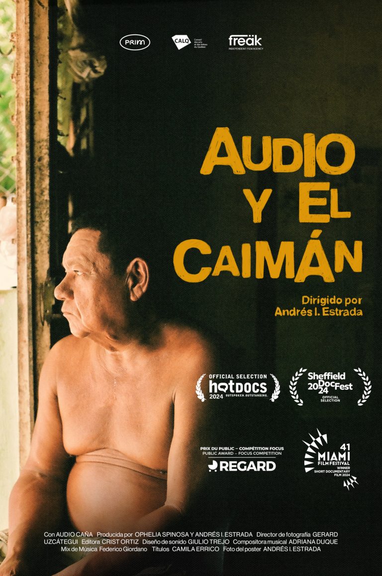 audio y el caiman