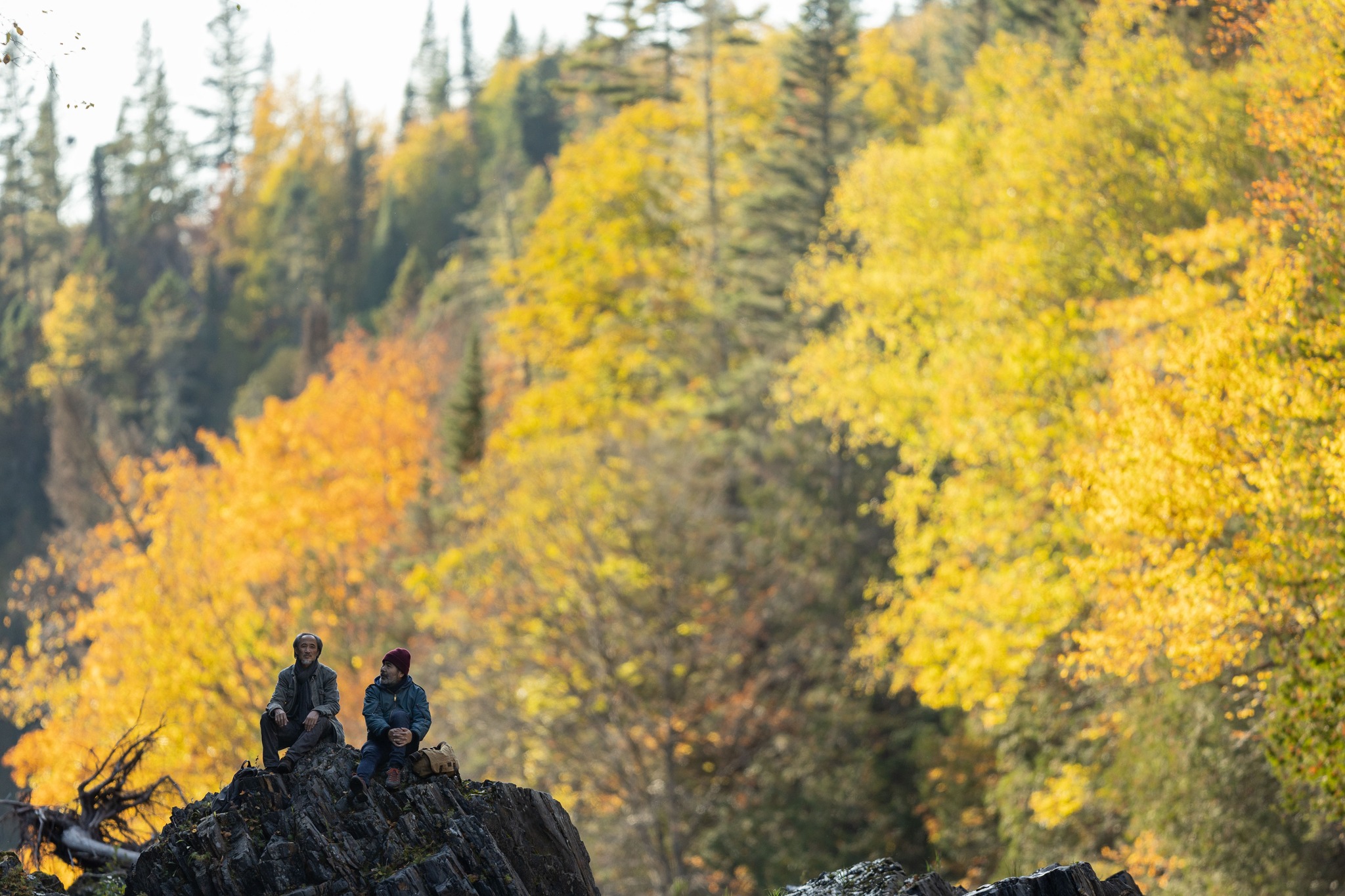among the mountains Prayer for a Lost Mitten - Jean-François Lesage