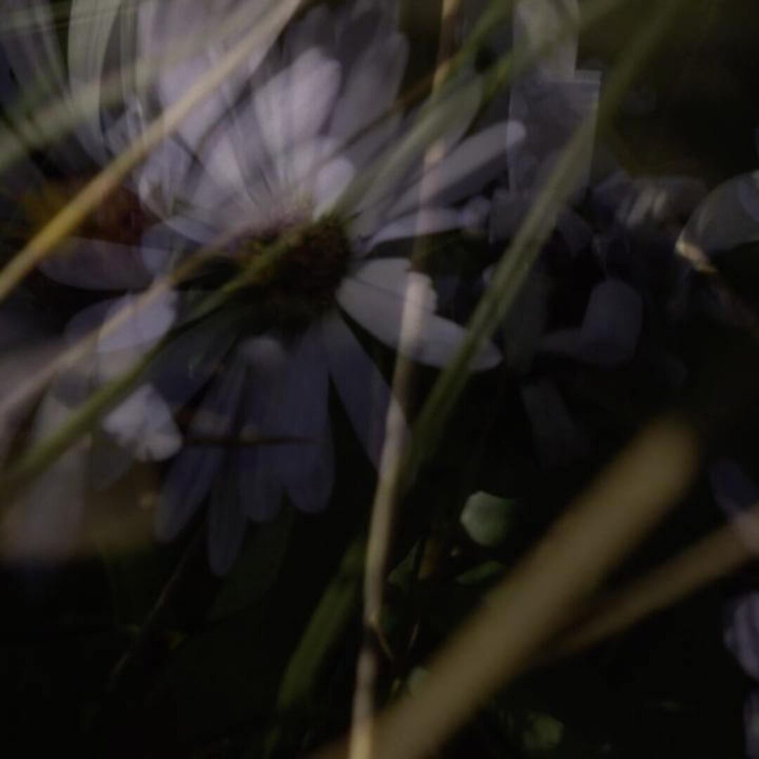 Archeology of light_ PRIM Prayer for a Lost Mitten - Jean-François Lesage